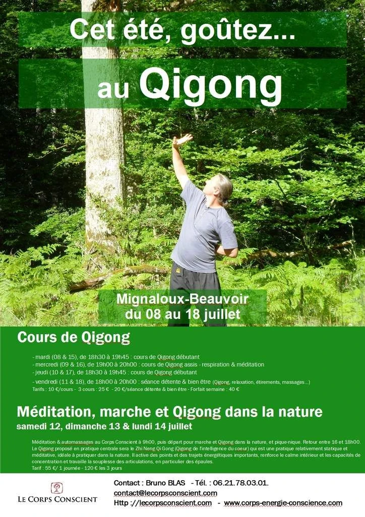 Cours et stage de Qigong - juillet 2014