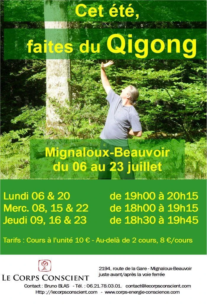 Activités de l'été