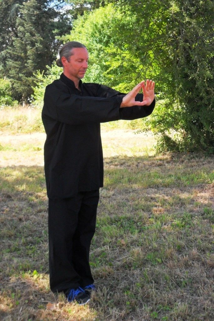  Stage de Zhi Neng Qi Gong 