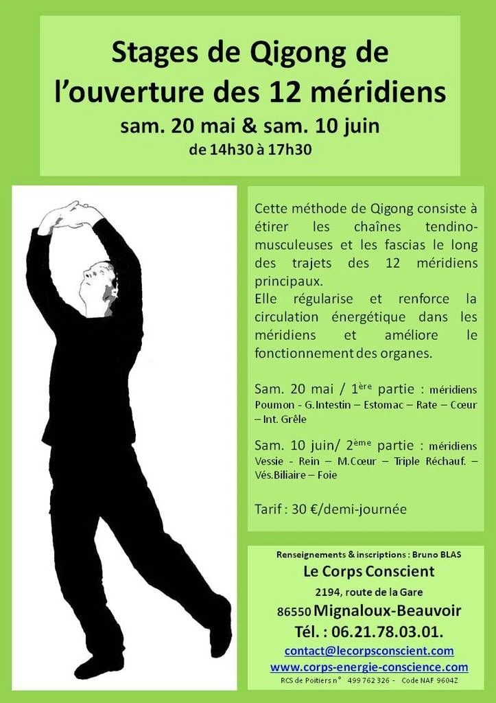 Stage sur le Qigong de l'ouverture des 12 méridiens