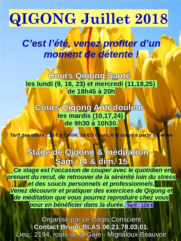 En juillet, faites du Qigong !