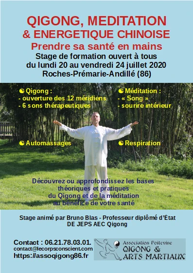 Stage d'été 2020