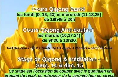 En juillet, faites du Qigong !