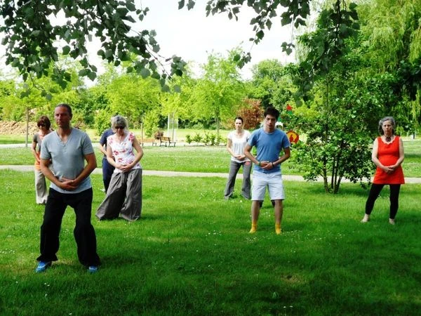 Journée nationale du Qi Gong - samedi 07 juin 2014 - Mignaloux-Beauvoir (86)