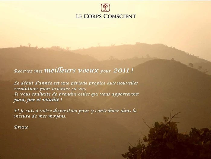 voeux 2011