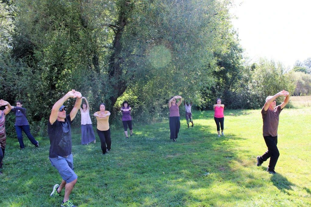 Stage de Qigong de juillet : les photos