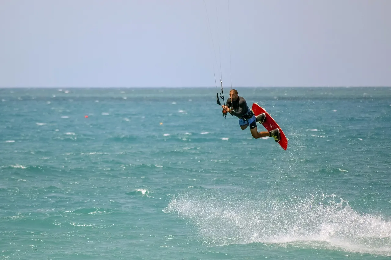 Activités de l'été 2019